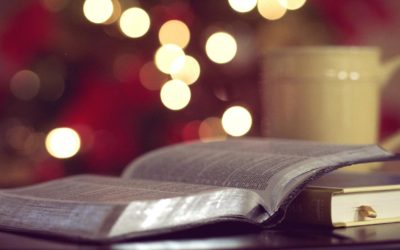 Tahdonvoimalla uudistumaan